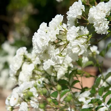 La Ferme Du Coustal Vialot