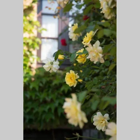 La Ferme Du Coustal Casa de Férias *