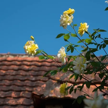 Сasa de vacaciones La Ferme Du Coustal *