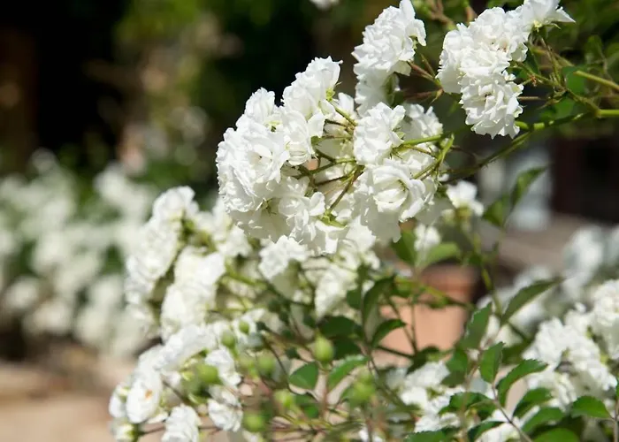 La Ferme Du Coustal Vialot