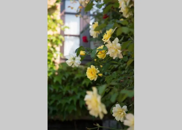 La Ferme Du Coustal Holiday home *