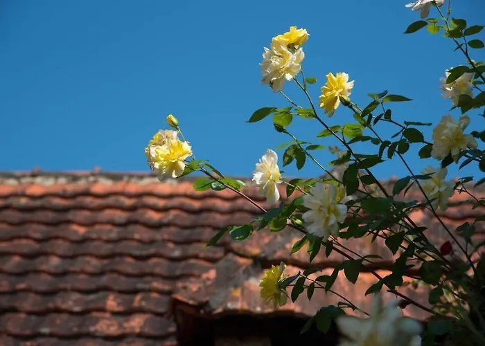 Holiday home La Ferme Du Coustal *